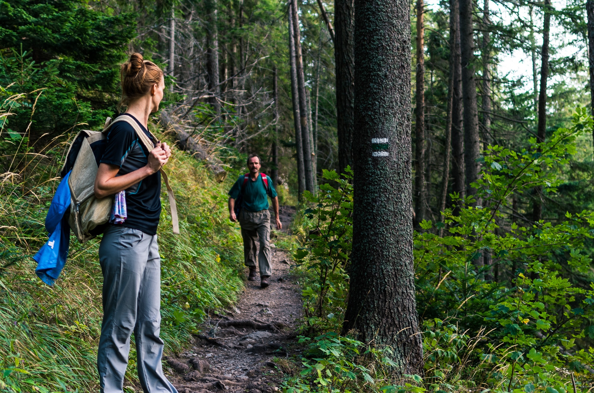 hiking tour guide course