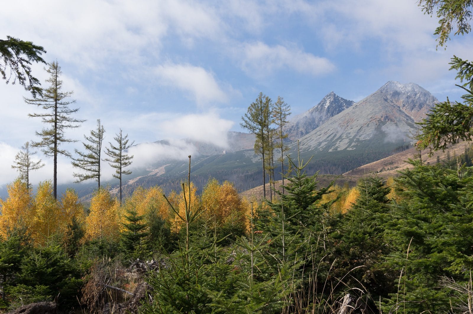 The view from biela voda towards Lomnicky summit